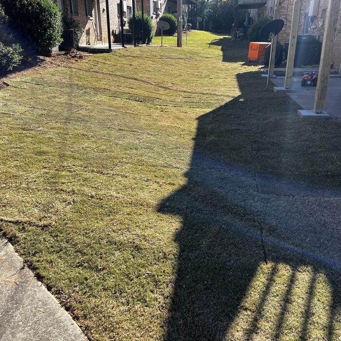 19725905_dlargesquare